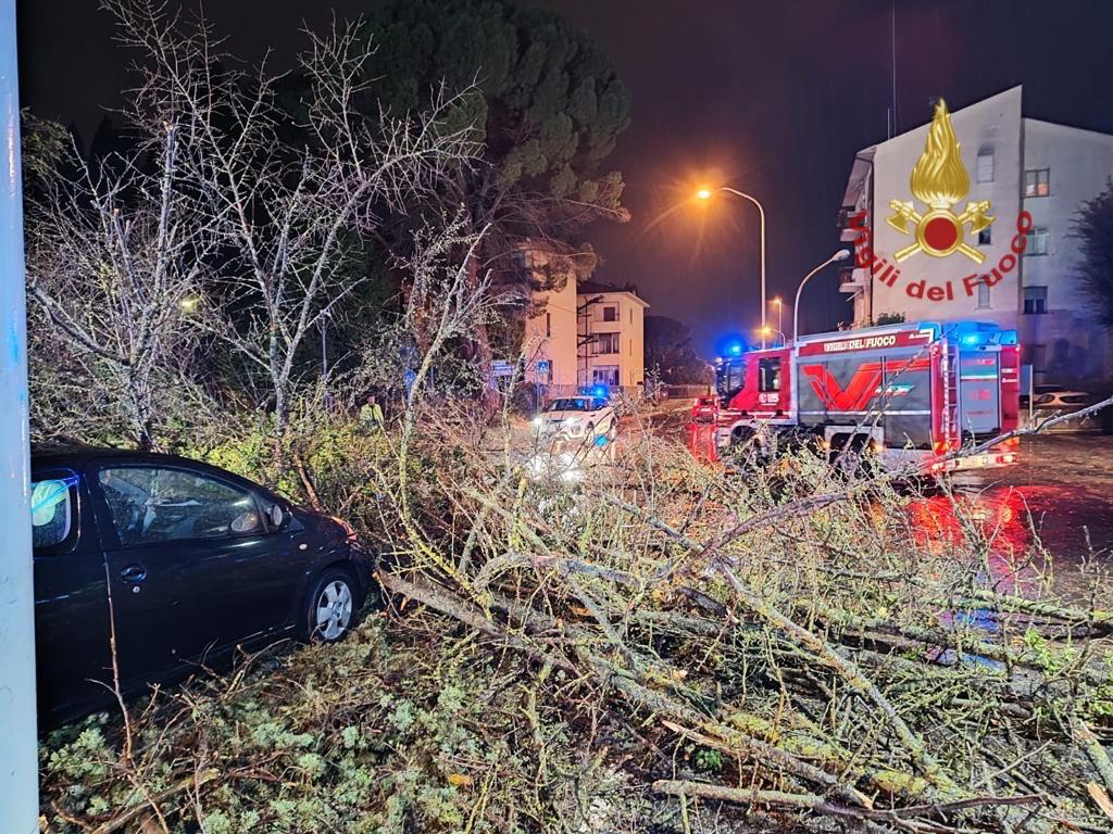 Albero cade e sfiora un auto notte di interventi nell Aretino per